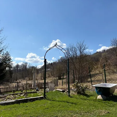 Chalet Szarewood *